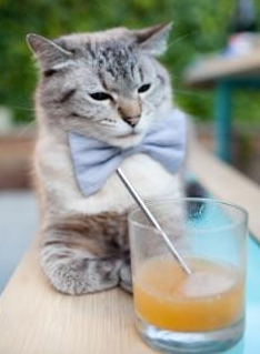 三笘薰的绿茵舞步，全程高能输出，导演加纳与墨西哥的攻防交响