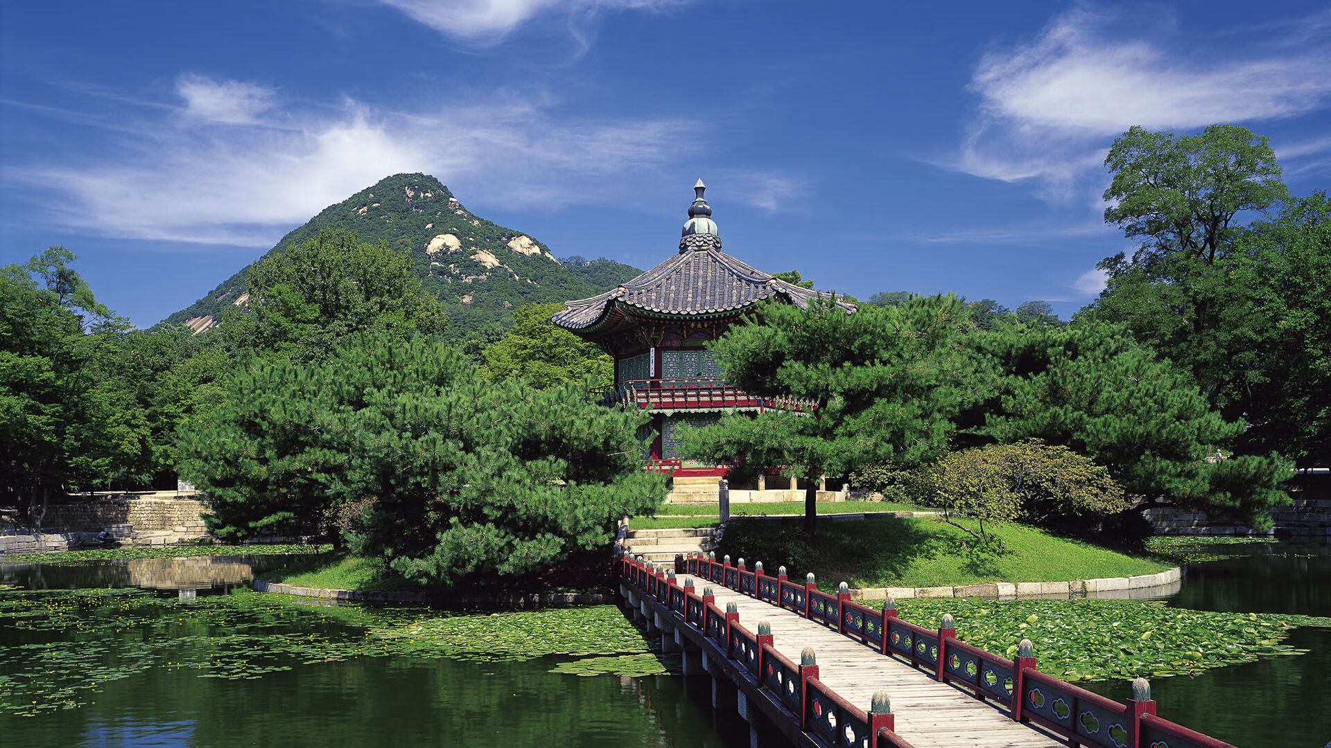 华体会登陆-莱万独舞，2026世界杯小组赛焦点战，捷克力克智利，一代神锋书写唯一传奇